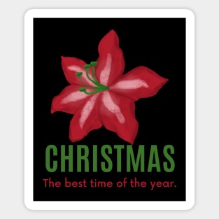 Christmas-the best time of the year Magnet